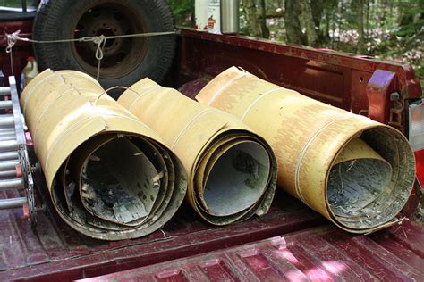 Collecting Birch Bark Canoe Bark Robin Wood