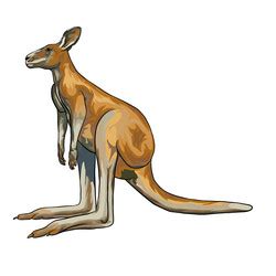 Red Kangaroo Vector Images (over 840)