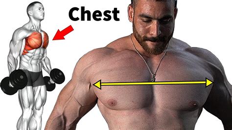 Best Chest Exercises Infoupdate Org