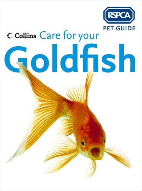 Care For Your Goldfish Rspca Pet Guide Rspca Ebook