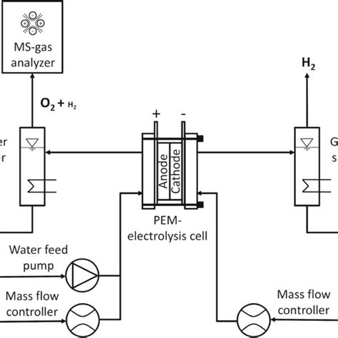 Schematic Flow Diagram Of The Test Setup Used For Gas Permeation Download Scientific Diagram