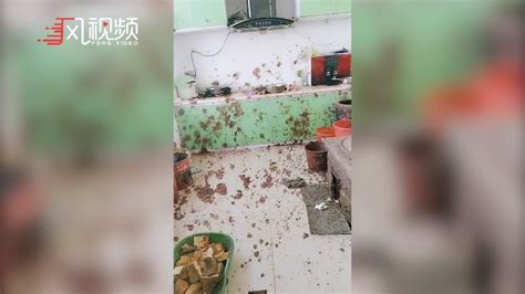 女子用洗衣机甩豆沙爆炸，网友：还以为是厕所炸了 凤凰网视频 凤凰网