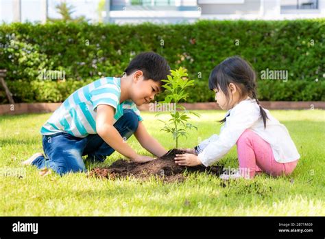 Kids Planting Trees