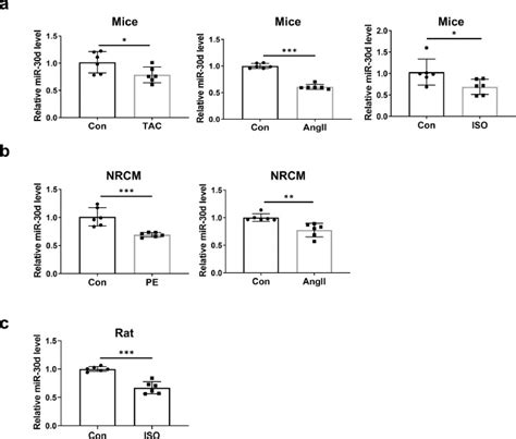 Targeting Mir D Reverses Pathological Cardiac Hypertrophy Ebiomedicine