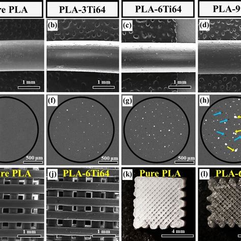 Fesem Images Showing The Surface Morphology A D And Cross Sectional