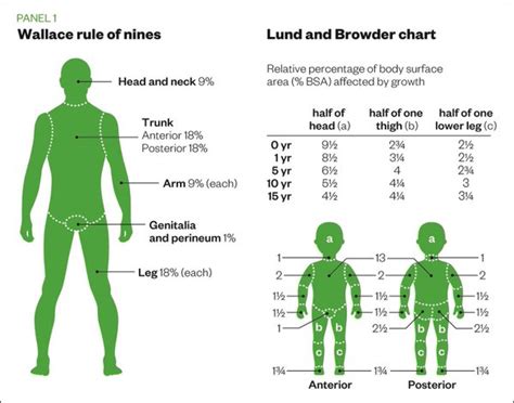 Diagram Rule Of 9s Diagram Mydiagramonline