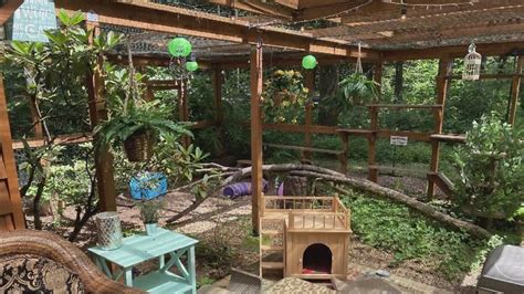 Catio Tour Showcases Outdoor Enclosures YouTube