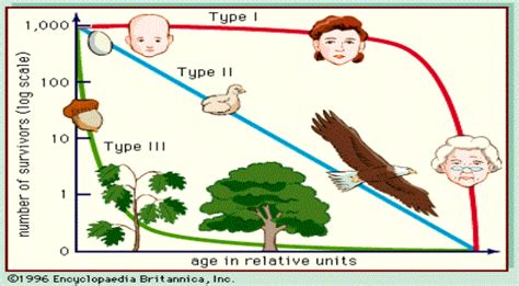 Human Population Ecology Demography