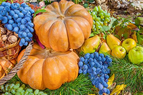 Autumn Harvest jigsaw puzzle in Fruits & Veggies puzzles on ...