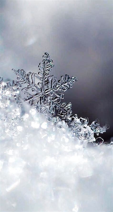 Icy Snowflakes Winter Iphone Android Cellphone Lock Screen Wallpaper