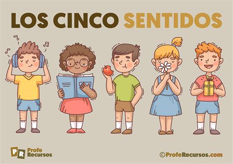 Los 5 Sentidos Para Niños Teoría Actividades