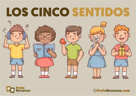 Los 5 Sentidos para Niños Teoría Actividades