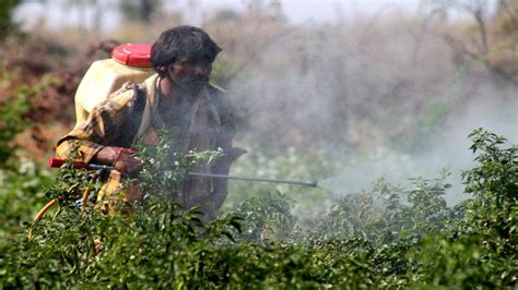 Symptoms Of Pesticide Exposure