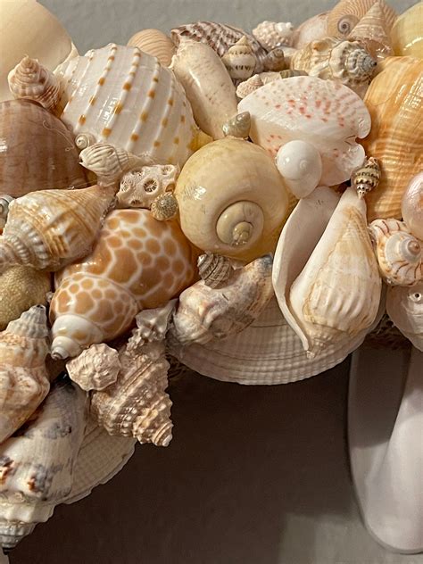 Nautical Decor Seashell Wreath Beach Decor Shell Wreath Seashell