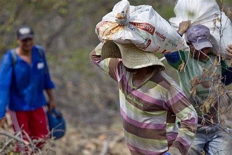 Garimpeiro Morre Soterrado Durante Trabalho No Interior Da Bahia