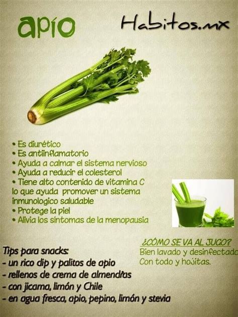 Propiedades Del Apio Nutrici N Beneficios De Alimentos Frutas Y