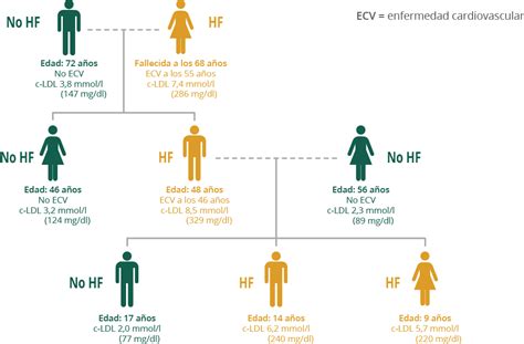 ¿qué Es La Hipercolesterolemia Familiar Fundación