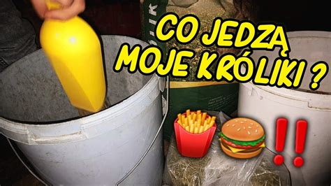 Co Jedz Kr Liki W Mojej Hodowli Jak Mieszank Przygotowuje Dla