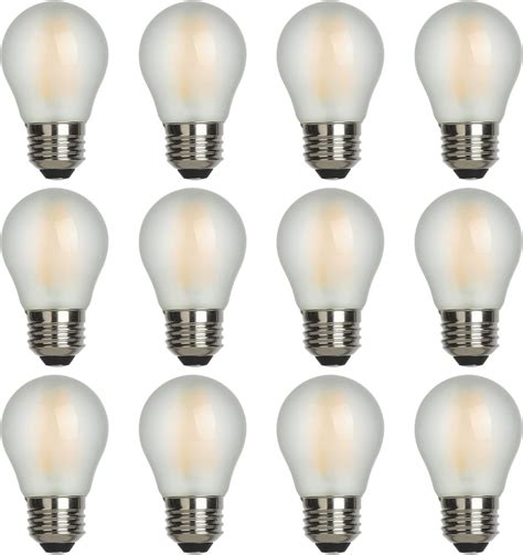 AMDTU E26 40 Watt Light Bulb Warm White 2700K G16 5 Frosted 40W Globe