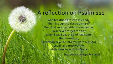 A reflection on Psalm 111