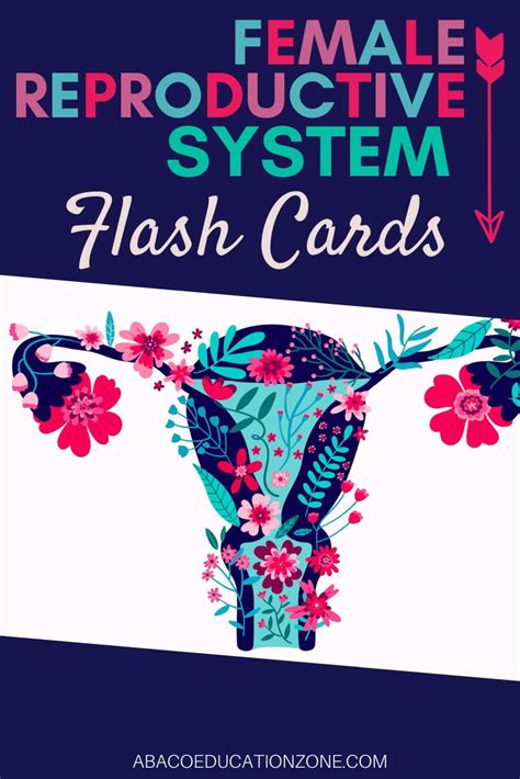 Pin On Flashcards