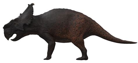 Pachyrhinosaurus | The Isle Wiki | Fandom