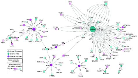 Protein Kinase Enrichment Map Showing Differential Kinase Substrate