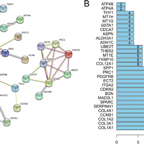 Protein Interaction Network Diagram Of Common Degs And Identifying Of