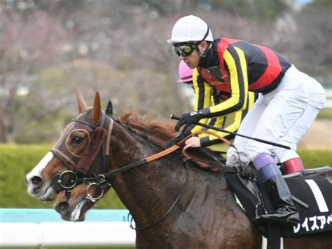 【蛍池特別】阪神 レイズアベールがゴール寸前で差し切りv 競馬ニュース