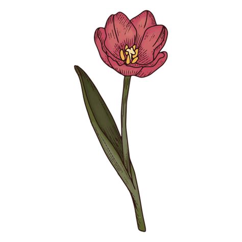 Design Png E Svg De ícone Da Natureza Da Flor Da Tulipa Para Camisetas