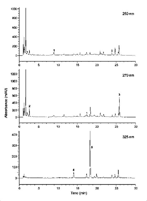 Hplc Chromatograms Of Benzoic And Cinnamic Acids In Strawberries 1