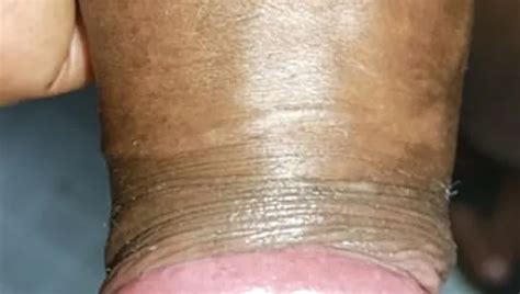 Hot Cock XHamster
