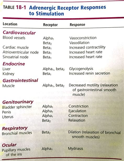 Adrenergic Receptor Responses To Stimulation Nursing School Essential