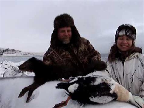 King Eider Huntress Alaska Sea Duck Hunting Island X YouTube