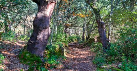 La Pintoresca Ruta De Senderismo Por La Sierra De Aracena Que Lleva Una