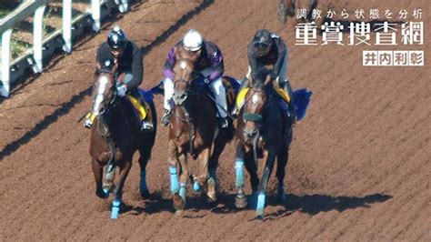 【根岸s 2023】最終追い切りを動画で解説井内利彰 競馬予想動画