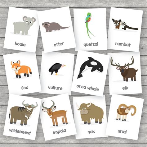 Printable Kids Zoo Animals Flashcards English - Etsy