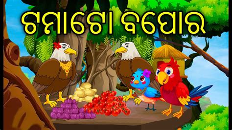 Tomato Bebara Birds Story Odia Gapa Odia Chadhei Gapa Gappa