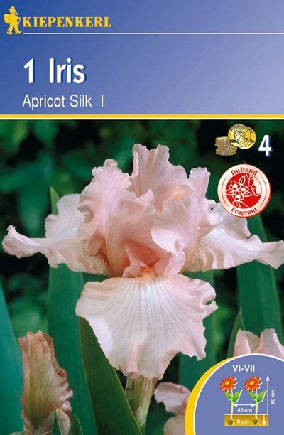 Iris Germanica Hybride Apricot Silk Von Tom Garten Auf Blumende Kaufen