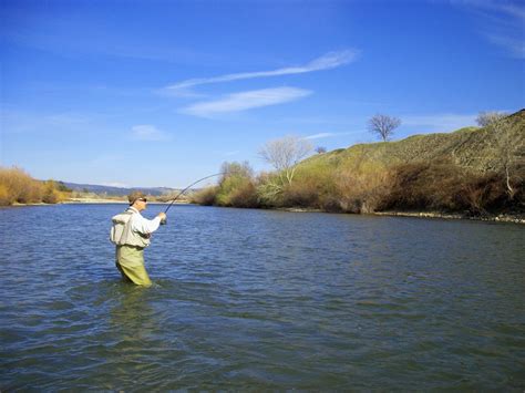 Jon Baiocchi Fly Fishing News: Lower Yuba River Fishing Report - 2/25