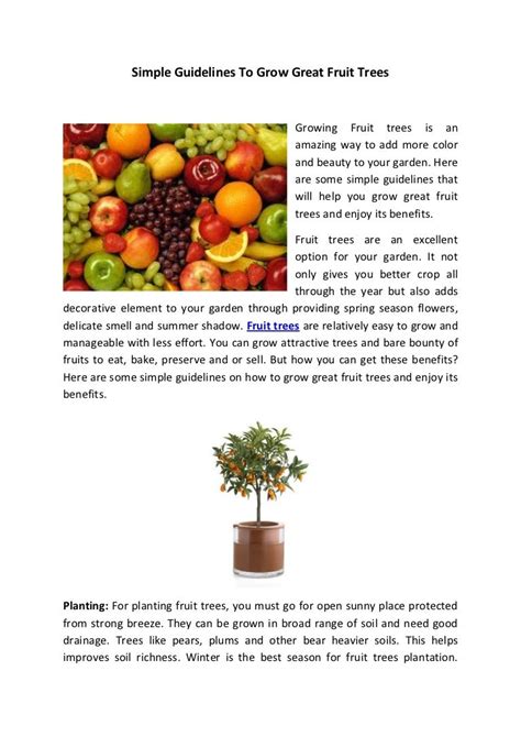 Simple Guidelines To Grow Great Fruit Trees