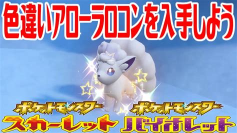 【ポケモンsv】色違いアローラロコンを入手しよう【ポケットモンスター スカーレット・バイオレット ゼロの秘宝 藍の円盤】pocket