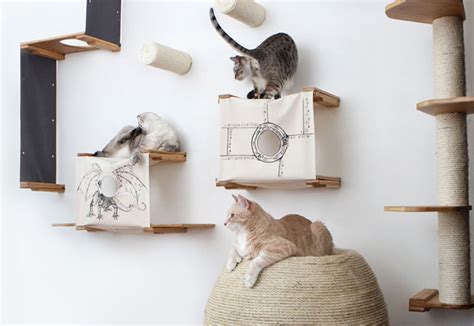 Diy Cat Furniture Ideas Diy Projects