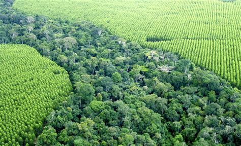 Corredores Ecológicos Visam Mitigar