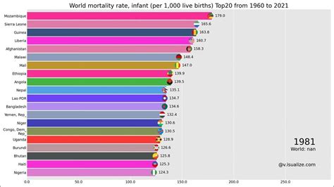 Bar Chart Race Of World Mortality Rate Infant Per 1 000 Live Births Top20 From 1960 To 2021