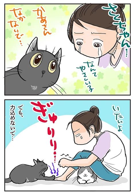 ＜画像153 644＞【ネコ漫画】個性あふれる3匹の猫とのドタバタな日常を描いたコミックエッセイを一気読み！｜ウォーカープラス