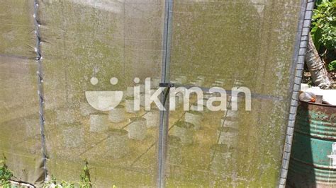 Green House For Sale Boralesgamuwa Ikman