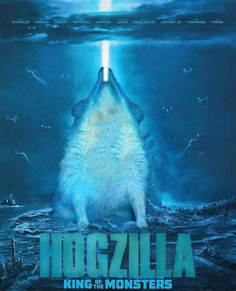 Hogzilla : r/Hedgehog