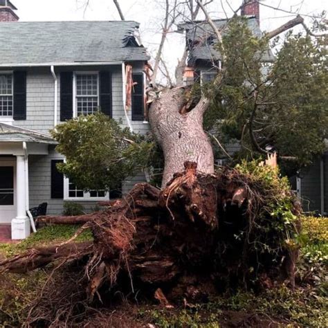 Storm Damage Restoration In Raleigh Nc Restorepro Reconstruction