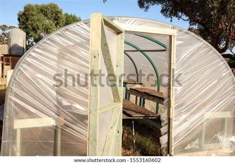 Clear Plastic Hot House Rows Seedlings Stock Photo 1553160602